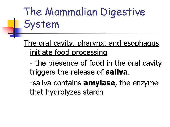 The Mammalian Digestive System The oral cavity, pharynx, and esophagus initiate food processing -