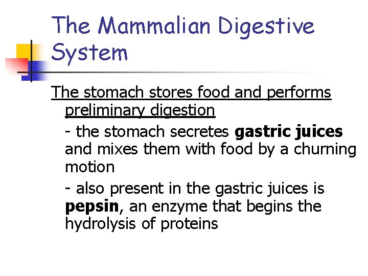 The Mammalian Digestive System The stomach stores food and performs preliminary digestion - the