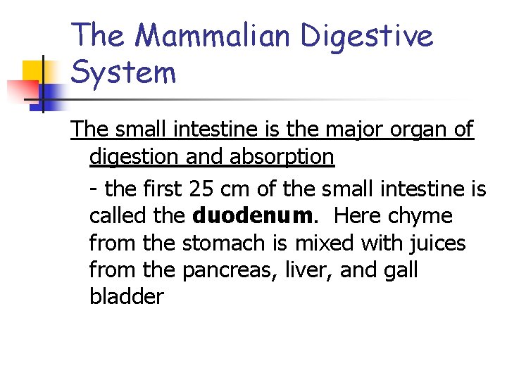 The Mammalian Digestive System The small intestine is the major organ of digestion and