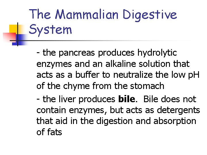 The Mammalian Digestive System - the pancreas produces hydrolytic enzymes and an alkaline solution