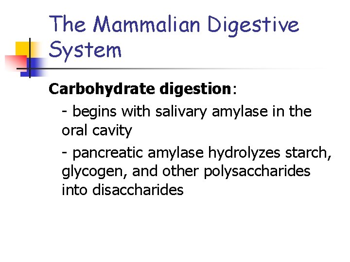 The Mammalian Digestive System Carbohydrate digestion: - begins with salivary amylase in the oral