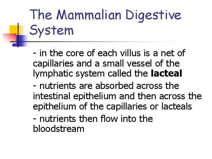 The Mammalian Digestive System - in the core of each villus is a net