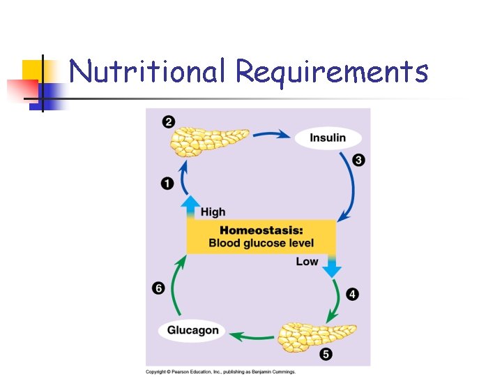 Nutritional Requirements 