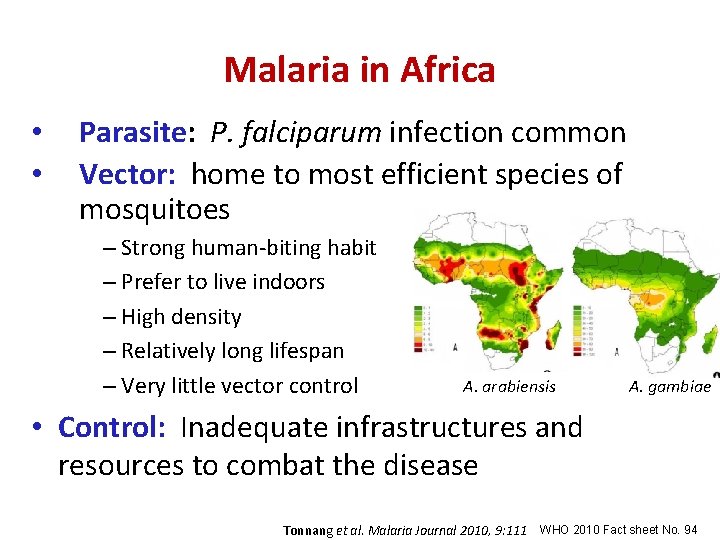 Malaria in Africa • • Parasite: P. falciparum infection common Vector: home to most