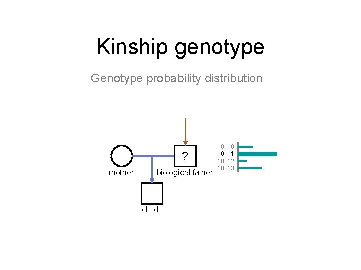 Kinship genotype Genotype probability distribution ? mother biological father child 10, 10 10, 11