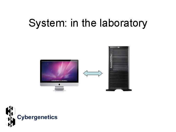 System: in the laboratory 