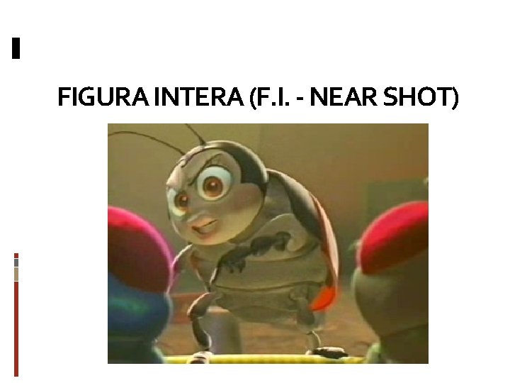 FIGURA INTERA (F. I. - NEAR SHOT) 