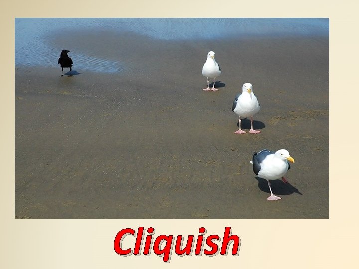 Cliquish 