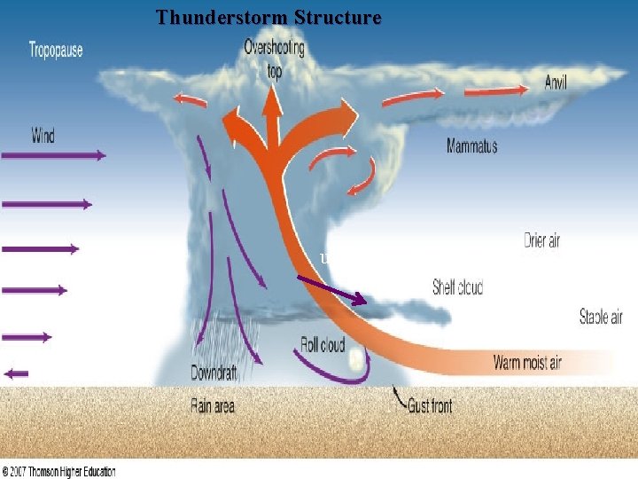 Thunderstorm Structure updraft Thunderstorm Structure updraft