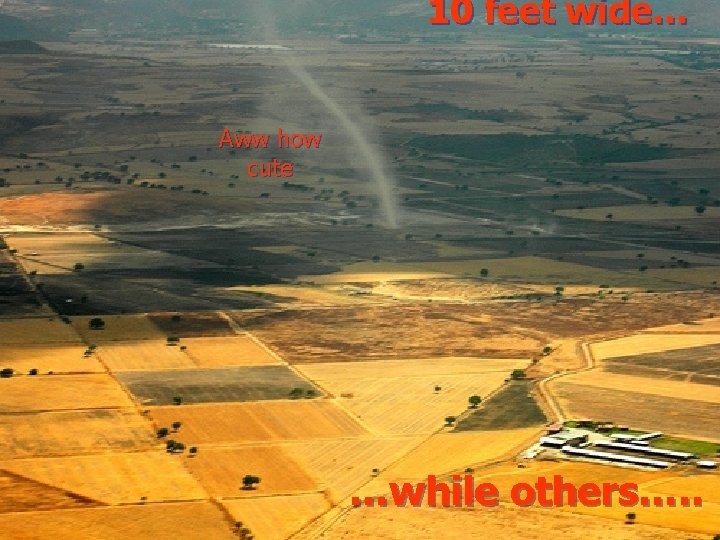 10 feet wide… Aww how cute …while others…. . 10 feet wide… Aww how cute …while others…. .