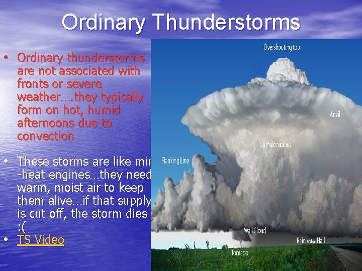 Ordinary Thunderstorms • Ordinary thunderstorms are not associated with fronts or severe weather…. they Ordinary Thunderstorms • Ordinary thunderstorms are not associated with fronts or severe weather…. they