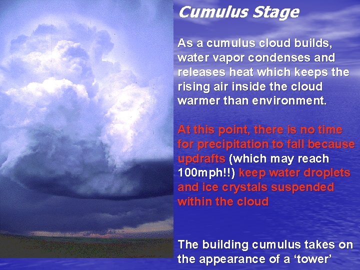Cumulus Stage As a cumulus cloud builds, water vapor condenses and releases heat which Cumulus Stage As a cumulus cloud builds, water vapor condenses and releases heat which