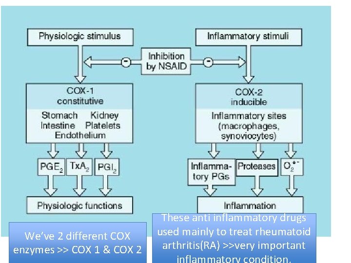 We’ve 2 different COX enzymes >> COX 1 & COX 2 These anti inflammatory