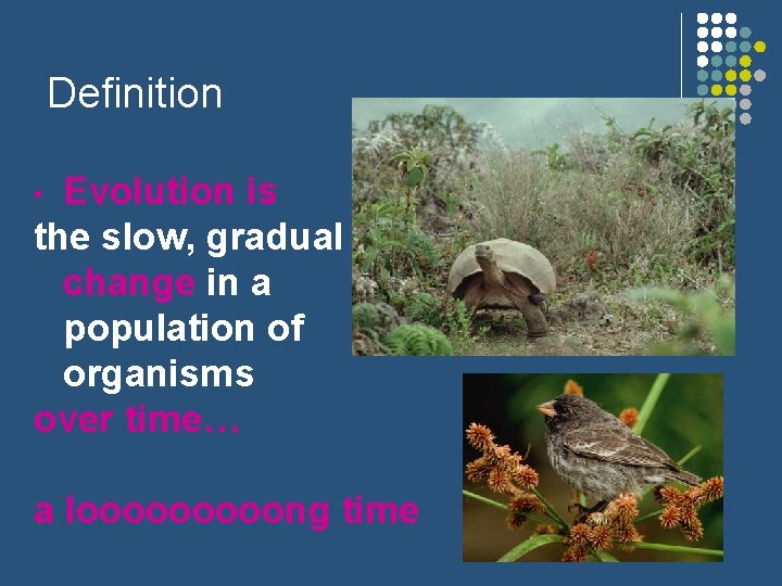 Definition Evolution is the slow, gradual change in a population of organisms over time…