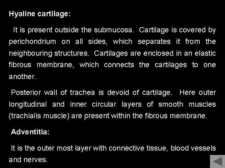 Hyaline cartilage: It is present outside the submucosa. Cartilage is covered by perichondrium on