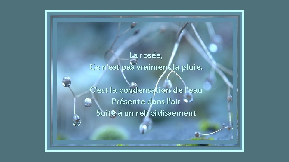  La rosée, Ce n'est pas vraiment la pluie. C'est la condensation de l'eau