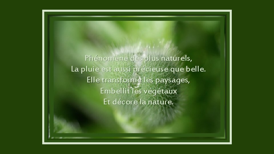  Phénomène des plus naturels, La pluie est aussi précieuse que belle. Elle transforme