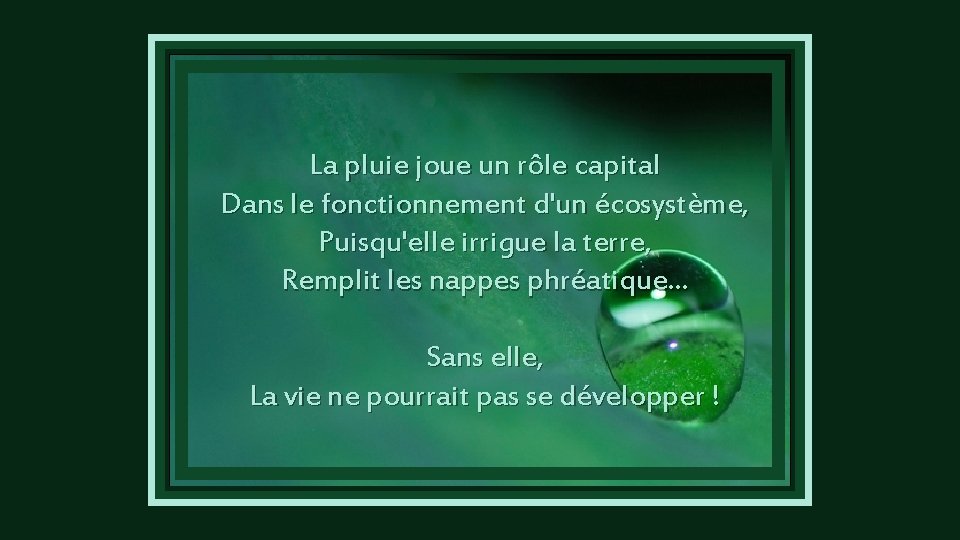  La pluie joue un rôle capital Dans le fonctionnement d'un écosystème, Puisqu'elle irrigue