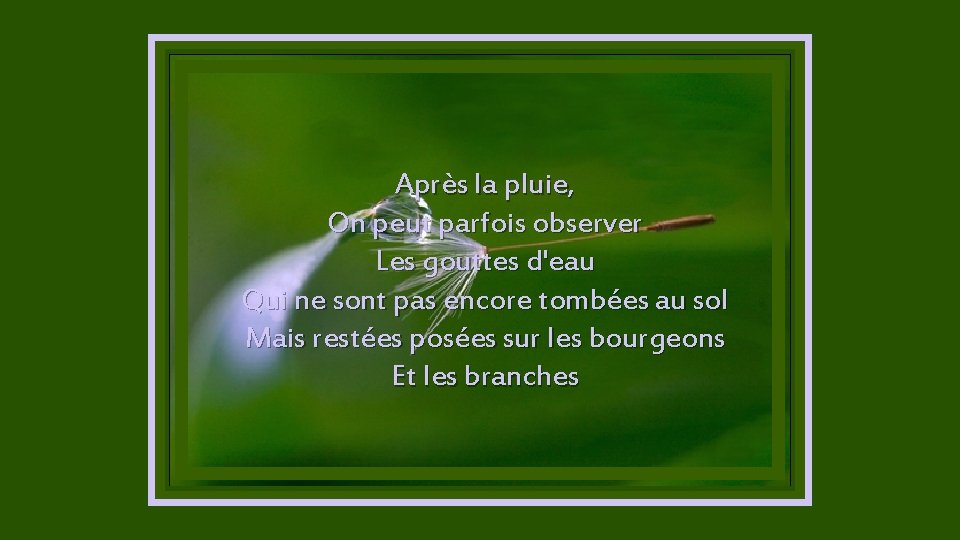  Après la pluie, On peut parfois observer Les gouttes d'eau Qui ne sont