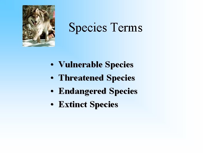 Species Terms • • Vulnerable Species Threatened Species Endangered Species Extinct Species 