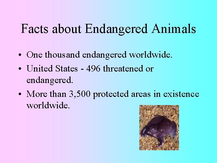 Facts about Endangered Animals • One thousand endangered worldwide. • United States - 496