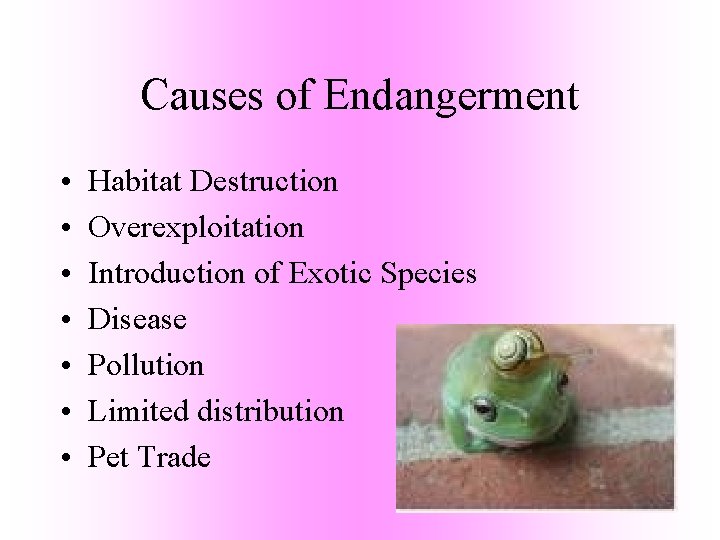 Causes of Endangerment • • Habitat Destruction Overexploitation Introduction of Exotic Species Disease Pollution