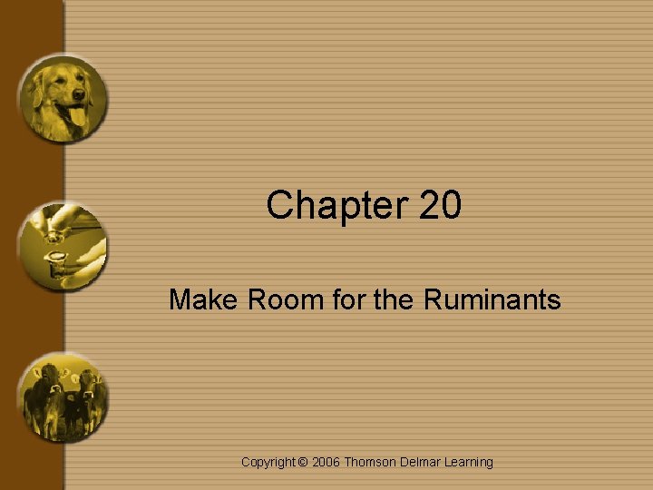 Chapter 20 Make Room for the Ruminants Copyright © 2006 Thomson Delmar Learning 