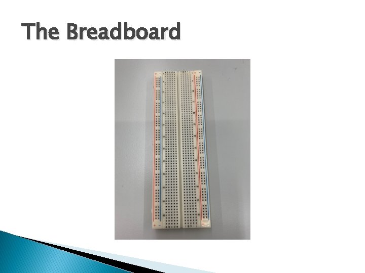 The Breadboard 