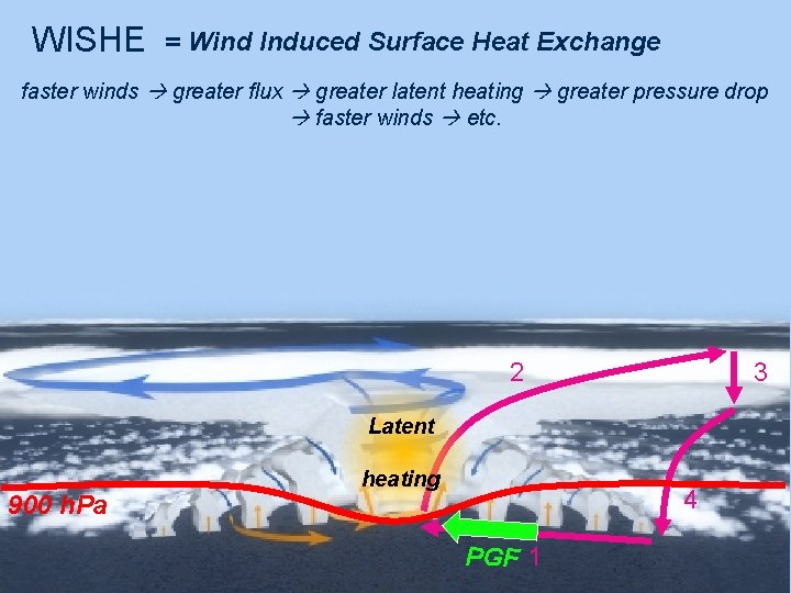 WISHE = Wind Induced Surface Heat Exchange faster winds greater flux greater latent heating