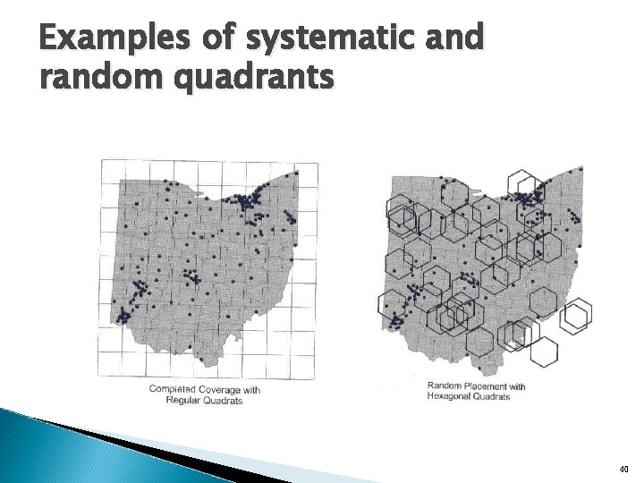 Examples of systematic and random quadrants 40 