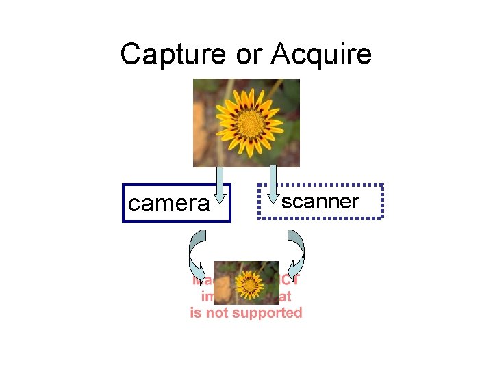 Capture or Acquire camera scanner 