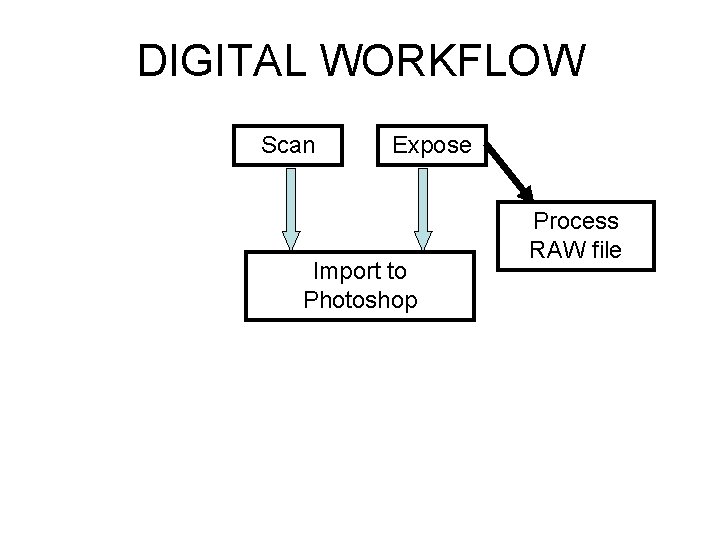 DIGITAL WORKFLOW Scan Expose Import to Photoshop Process RAW file 