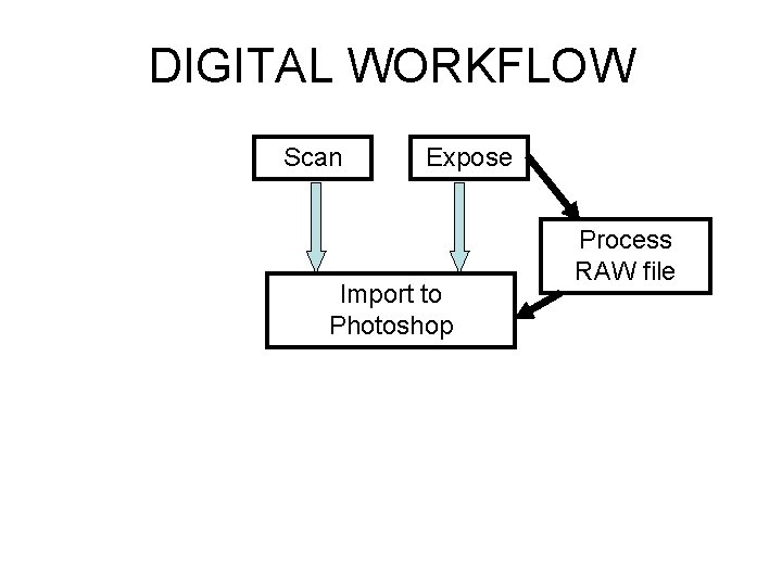 DIGITAL WORKFLOW Scan Expose Import to Photoshop Process RAW file 