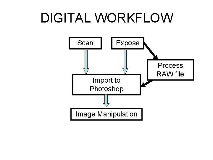 DIGITAL WORKFLOW Scan Expose Import to Photoshop Image Manipulation Process RAW file 