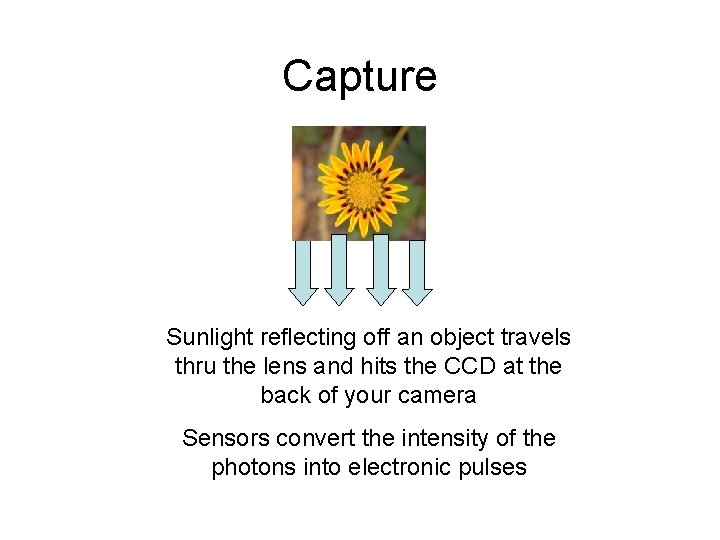 Capture Sunlight reflecting off an object travels thru the lens and hits the CCD