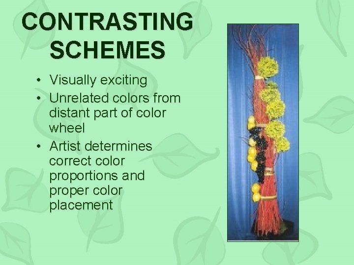 CONTRASTING SCHEMES • Visually exciting • Unrelated colors from distant part of color wheel