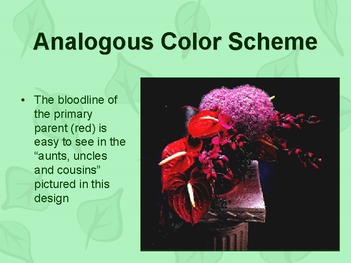 Analogous Color Scheme • The bloodline of the primary parent (red) is easy to