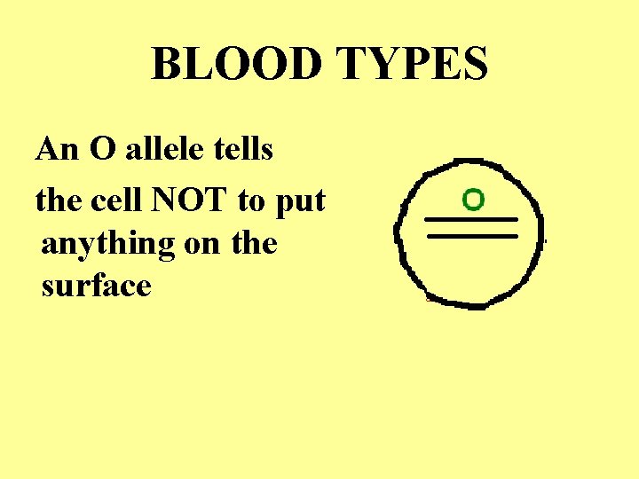 BLOOD TYPES An O allele tells the cell NOT to put anything on the