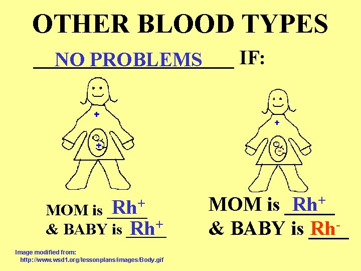 OTHER BLOOD TYPES __________ IF: NO PROBLEMS Rh+ MOM is _____ & BABY is