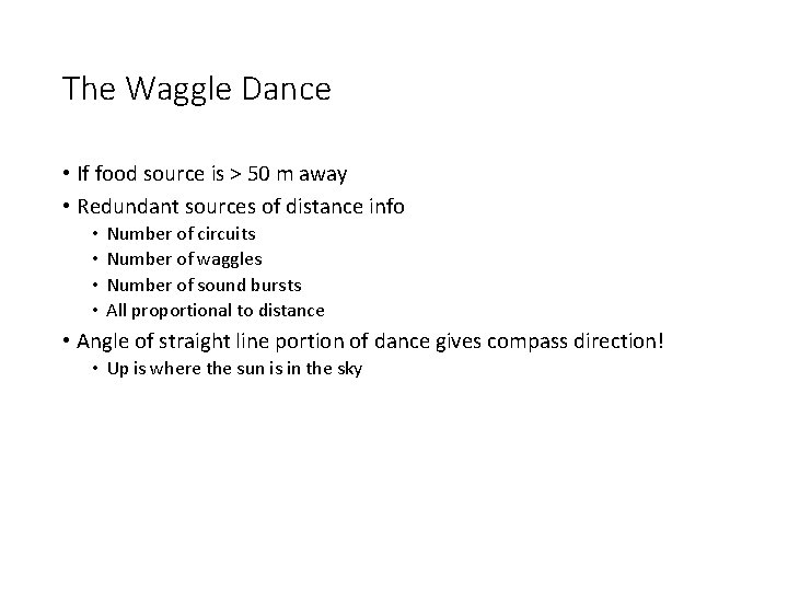 The Waggle Dance • If food source is > 50 m away • Redundant