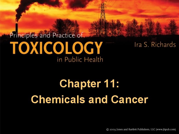 Chapter 11: Chemicals and Cancer 