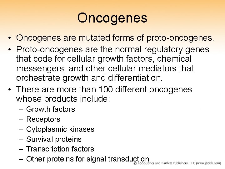 Oncogenes • Oncogenes are mutated forms of proto-oncogenes. • Proto-oncogenes are the normal regulatory