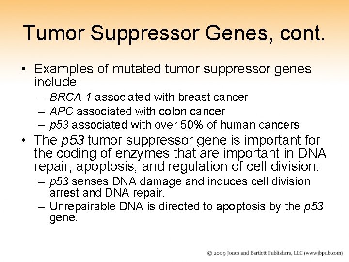 Tumor Suppressor Genes, cont. • Examples of mutated tumor suppressor genes include: – BRCA-1