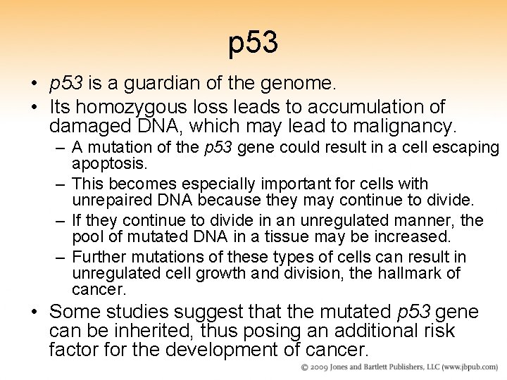 p 53 • p 53 is a guardian of the genome. • Its homozygous