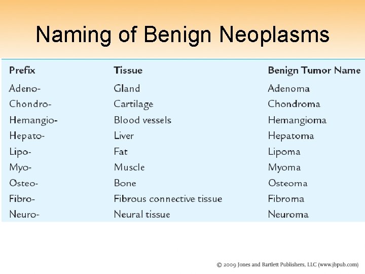 Naming of Benign Neoplasms 