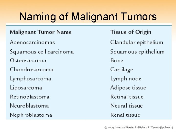 Naming of Malignant Tumors 
