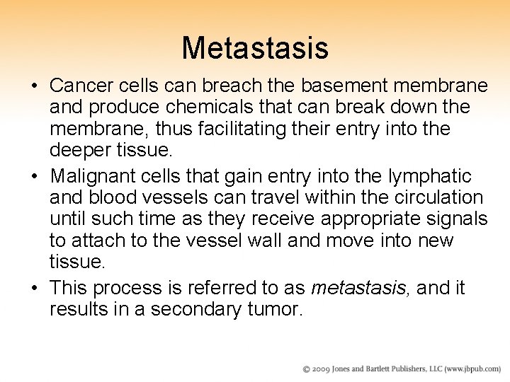 Metastasis • Cancer cells can breach the basement membrane and produce chemicals that can