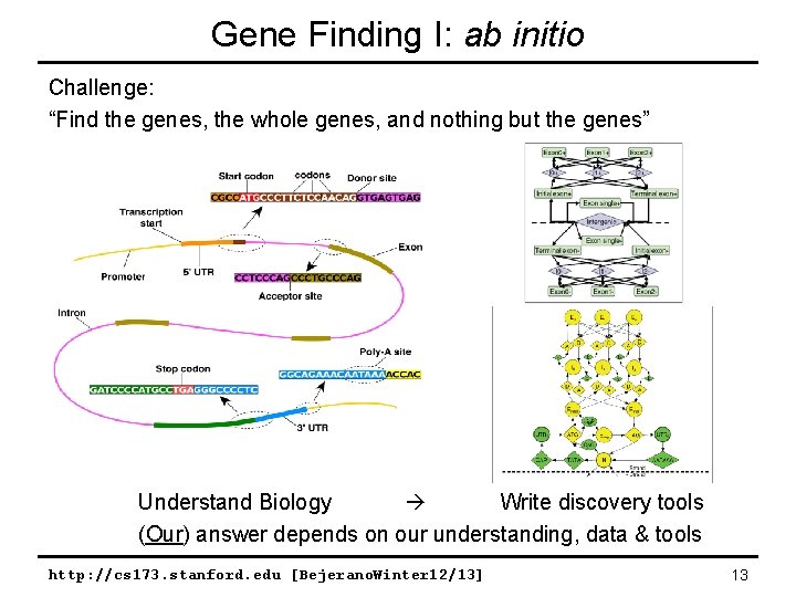 Gene Finding I: ab initio Challenge: “Find the genes, the whole genes, and nothing