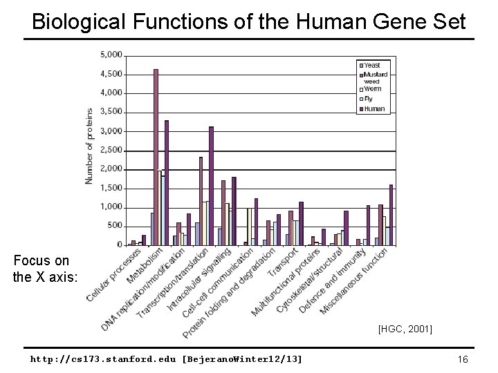 Biological Functions of the Human Gene Set Focus on the X axis: [HGC, 2001]