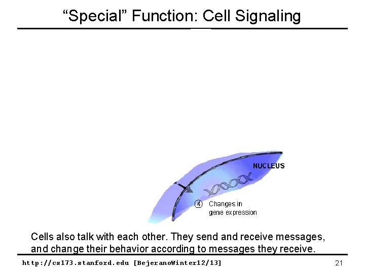 “Special” Function: Cell Signaling Cells also talk with each other. They send and receive